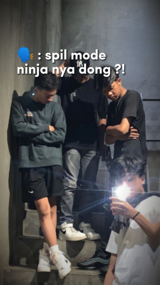 mode ninja
