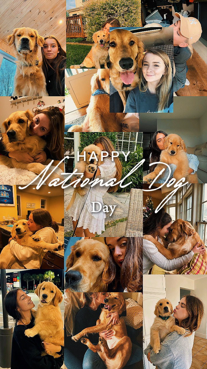 Happy National Dog