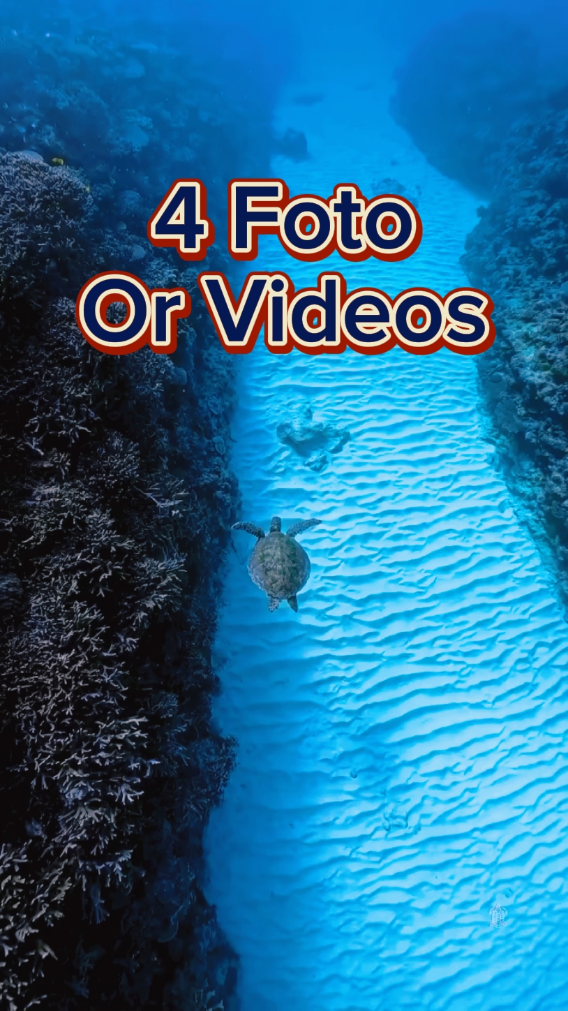 4 Video Slayt