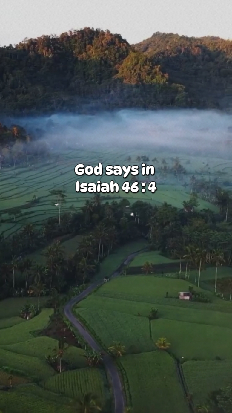 Bible Verse
