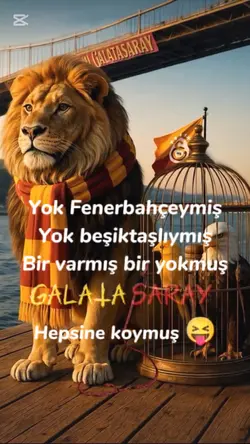 Galatasaray 💛❤️