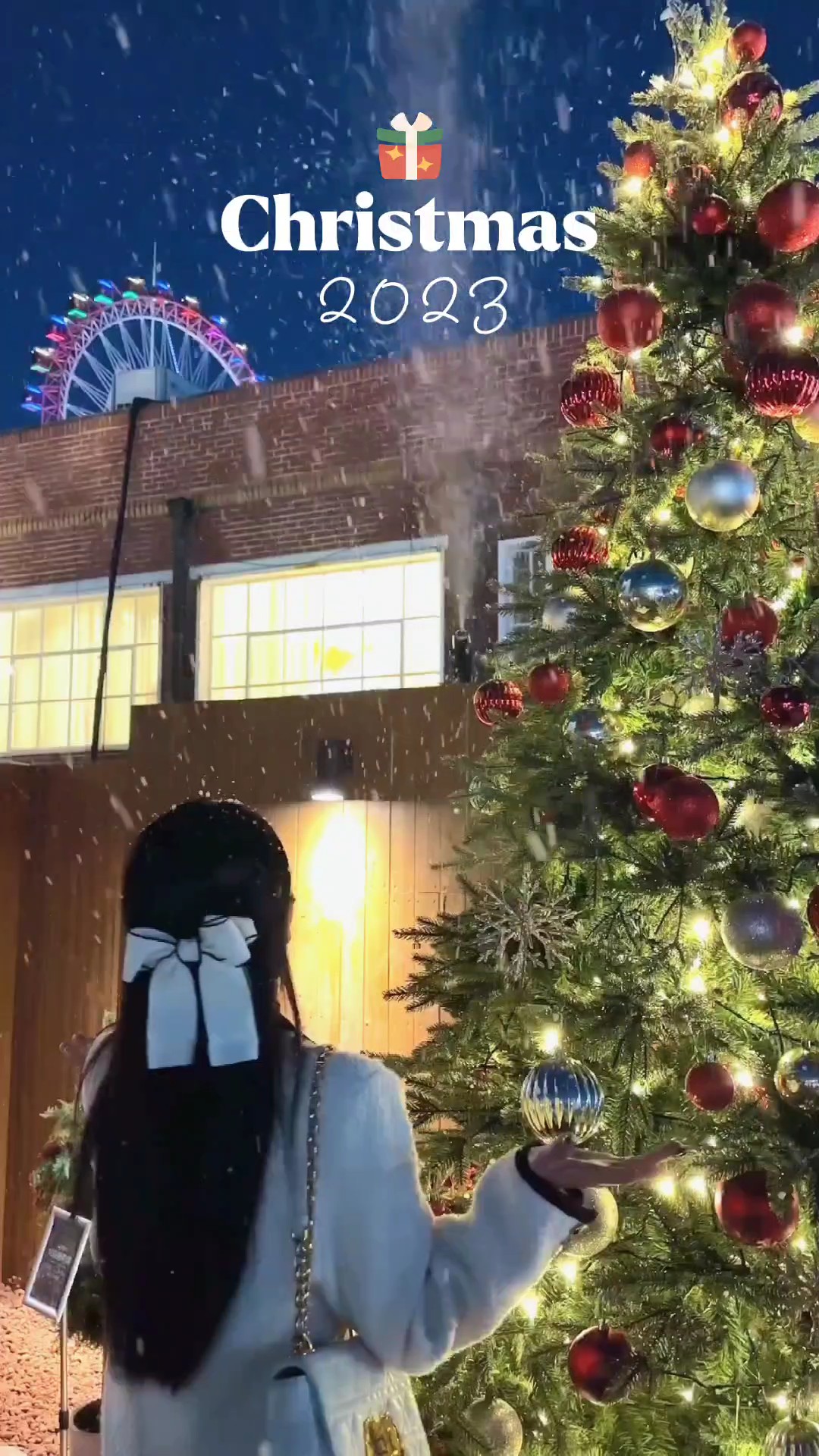 Vlog Noel