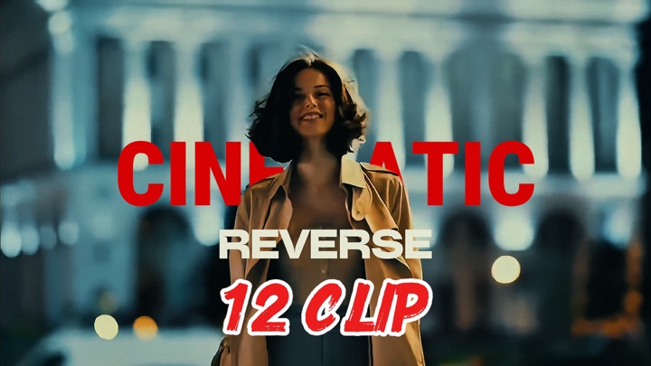 12 CLIP REVERSE