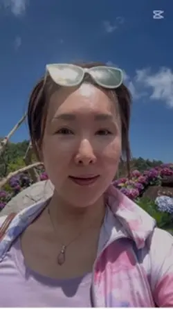 竹子湖繡球花