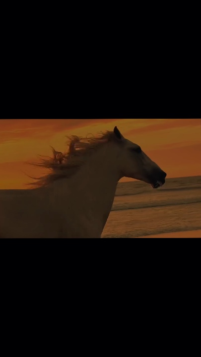 Fast cut cinematic 