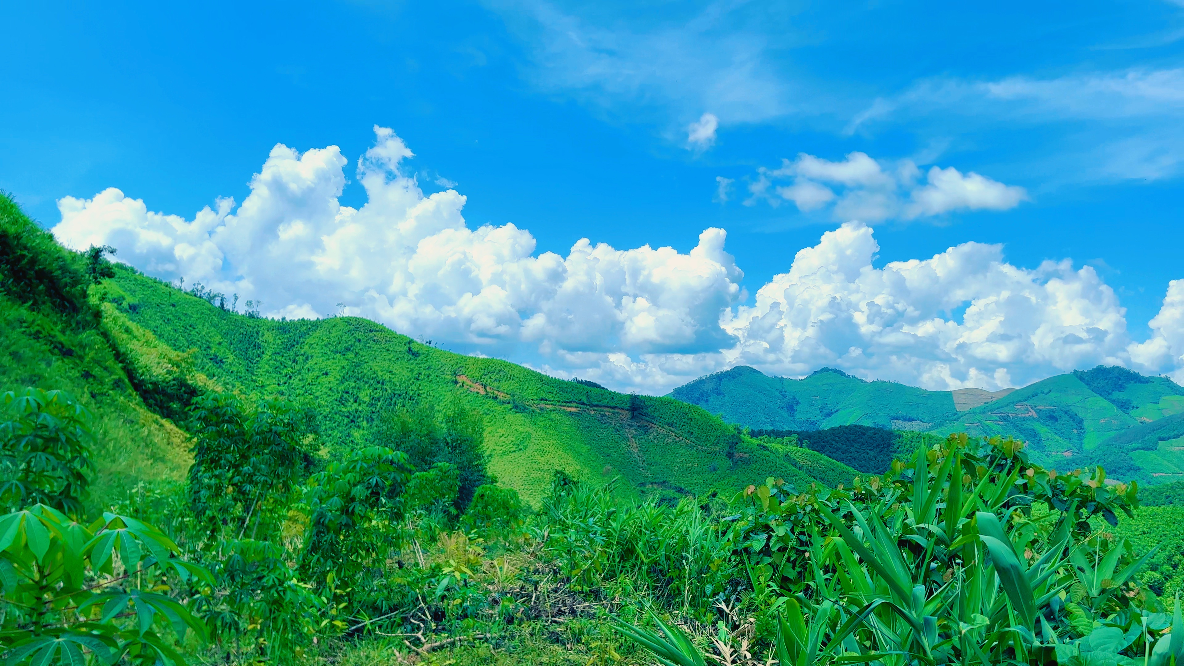 Ngày HINDI PUMUNTA