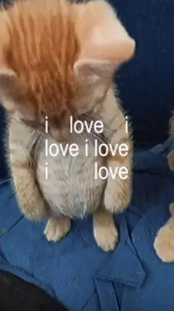 i love