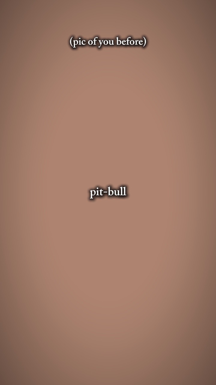 Pitbull