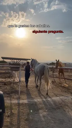 Siguiente pregunta.