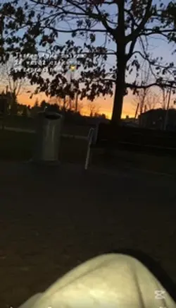 😹.