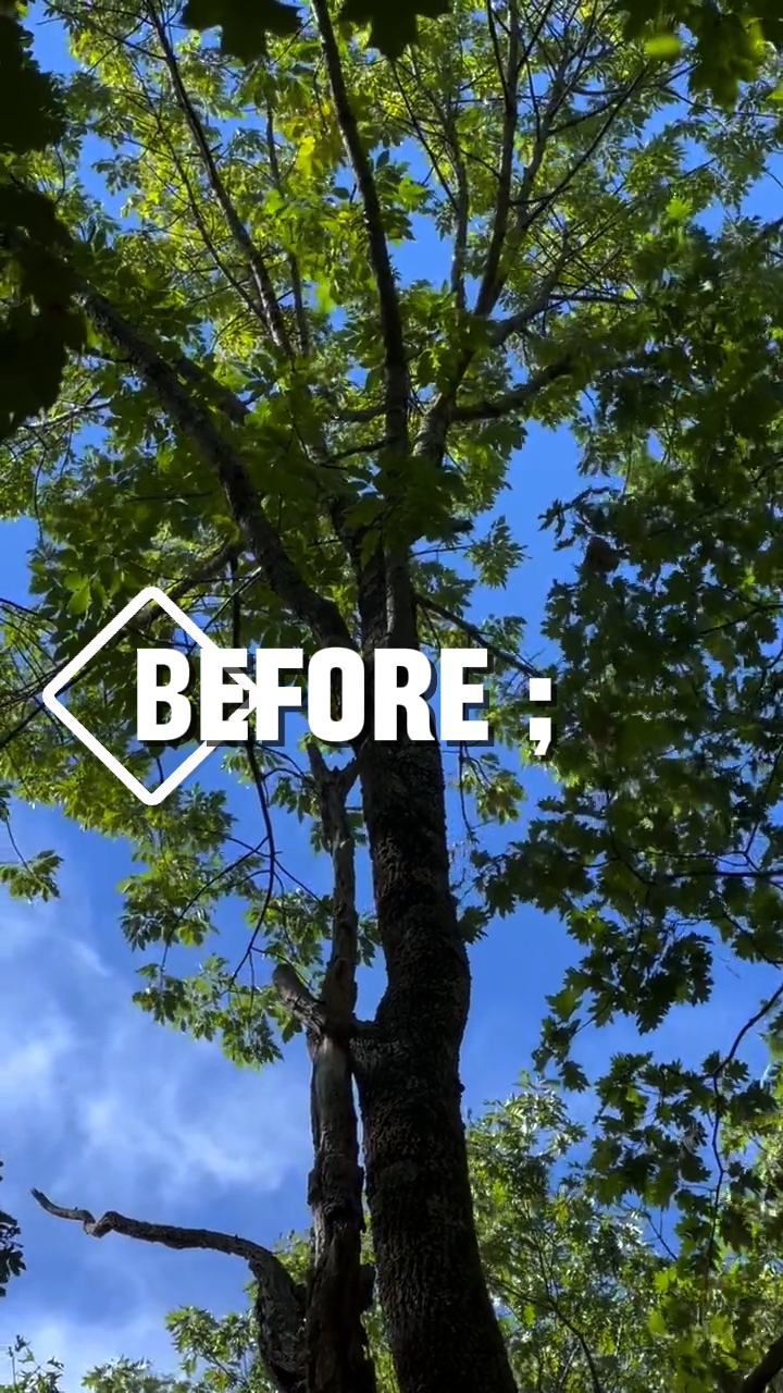 BEFORE VS AFTER 