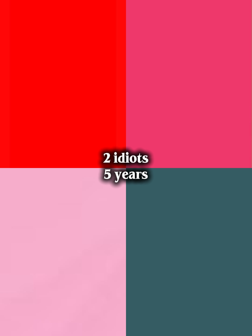 2 aptal 5 yıl 