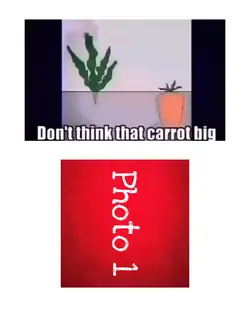 Carrot big