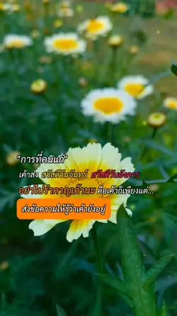 อย่าไปรำคาญคนแก่นะ