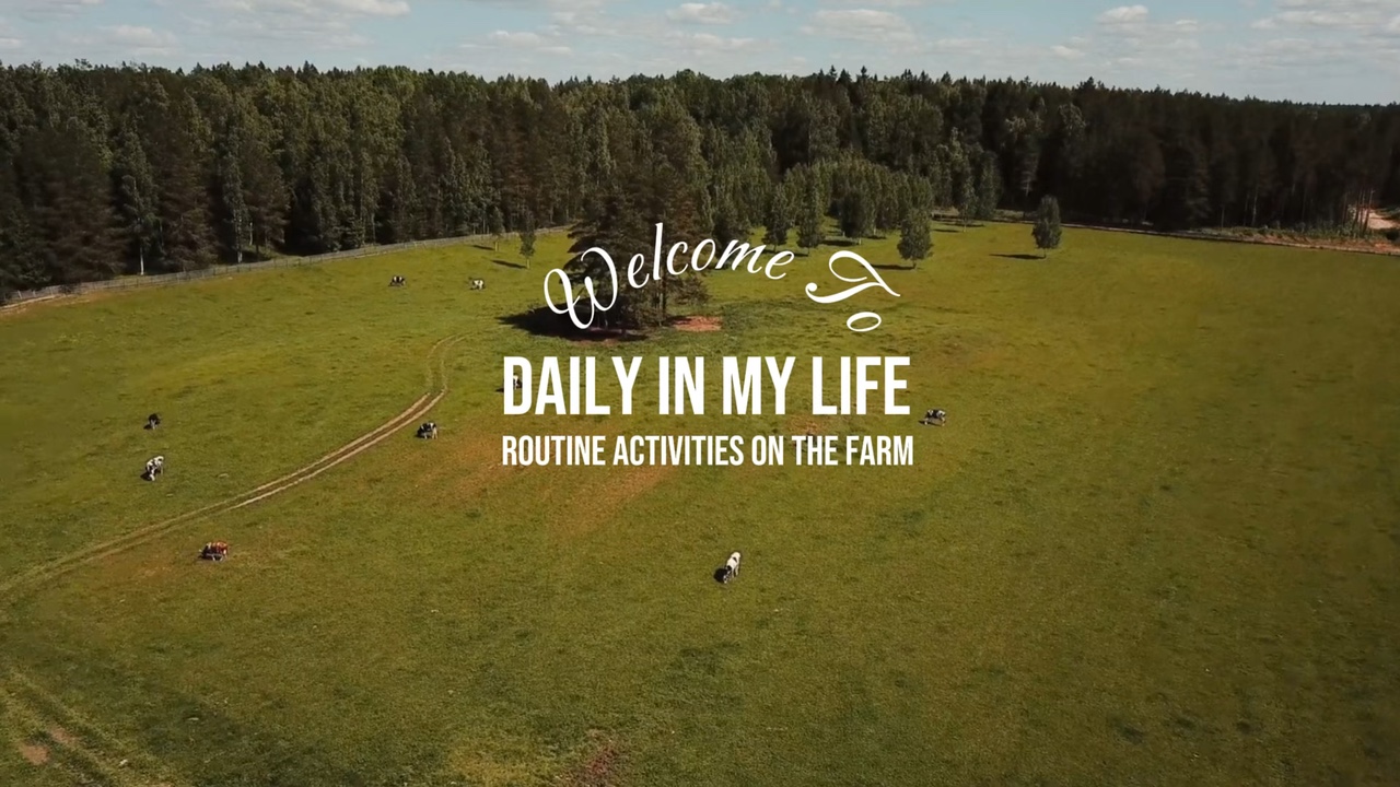 Introdução diária