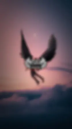 ShadowSky1206