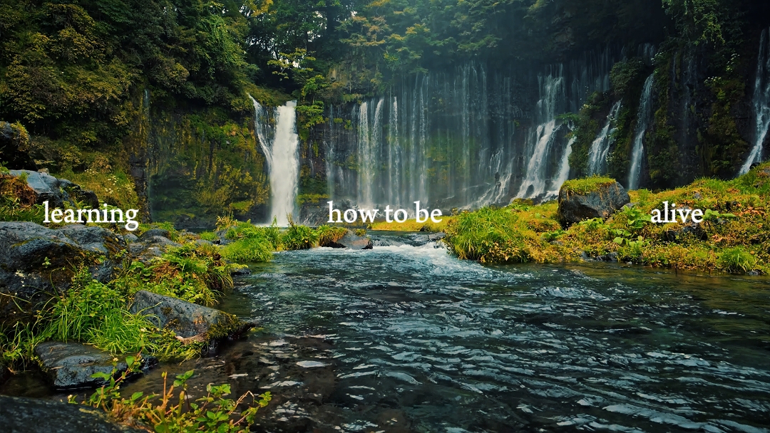 Nature vlog