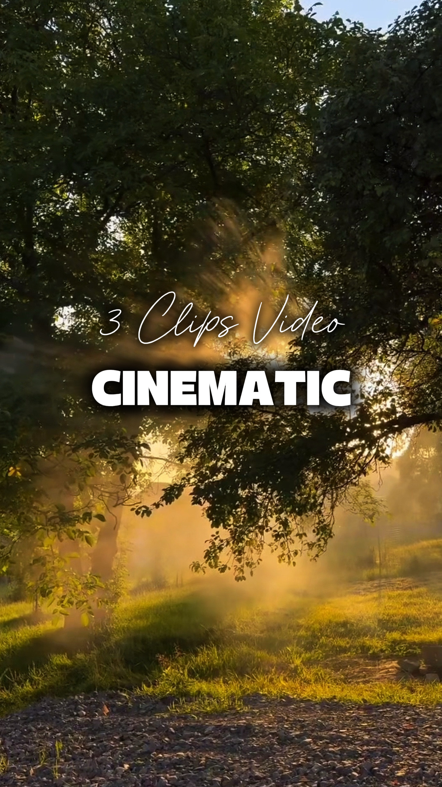3 Videos Cinematic 