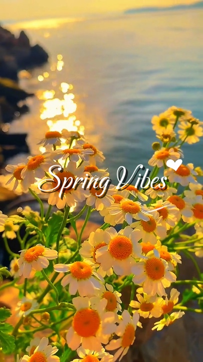 SPRING Vibes 