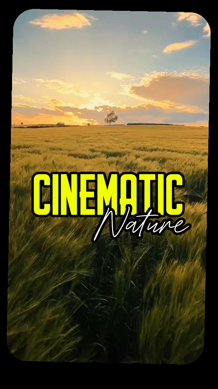 CINEMATIC