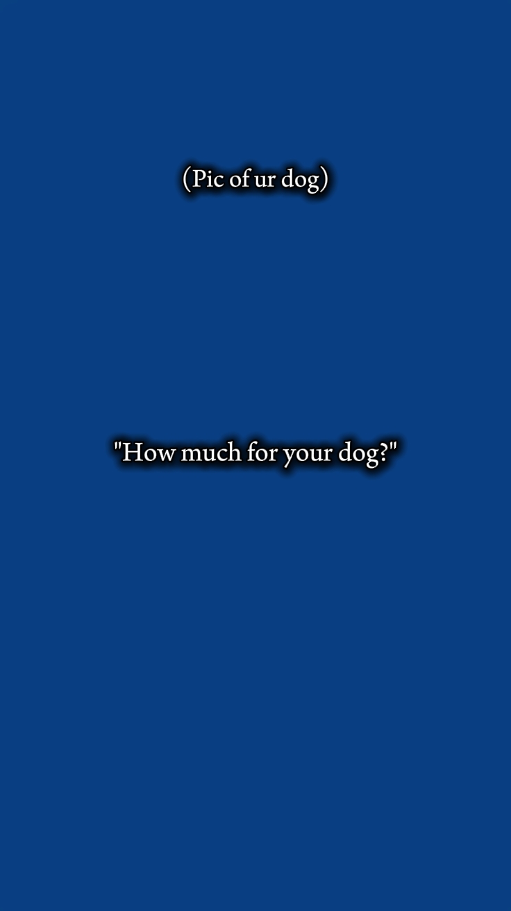 Hund