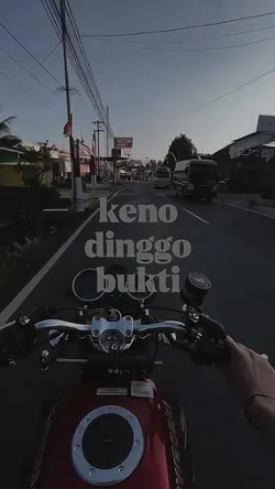 Cerito wingi