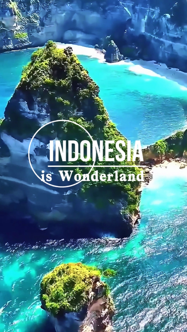 Negeri ajaib Indonesia
