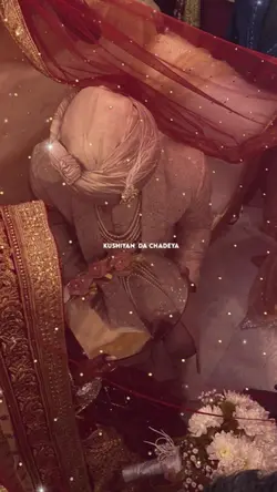 wedding Vibes 
