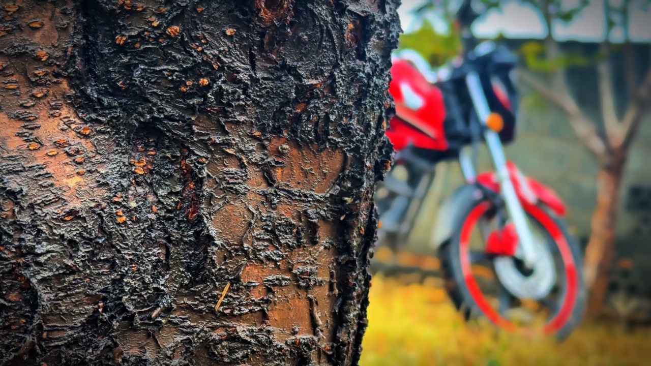 Bike slowmo 