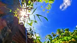 lanscape HD