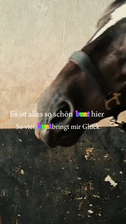 So viel bunt!!!