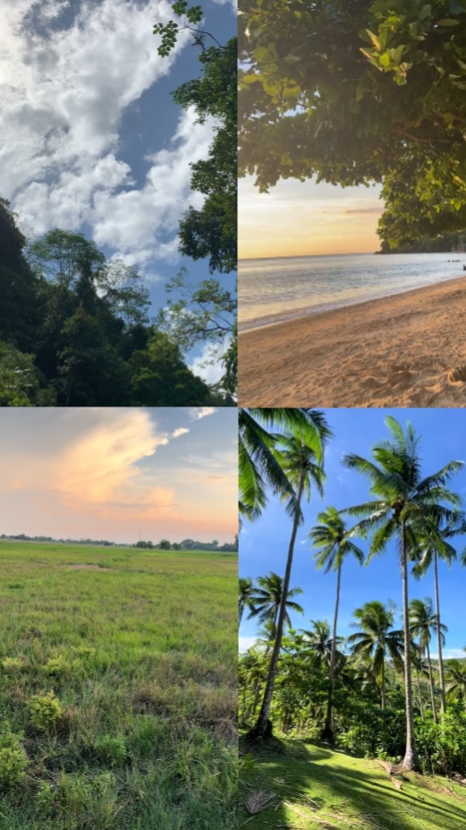 4 vidéos dans une fram