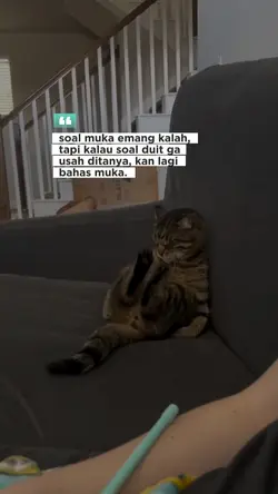 ini lgi bahas muka y