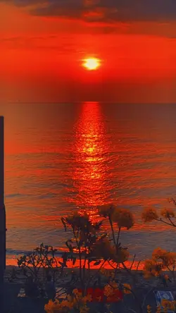 sunset aesthetic