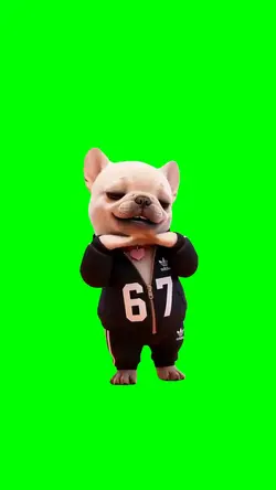 Dog Dancing