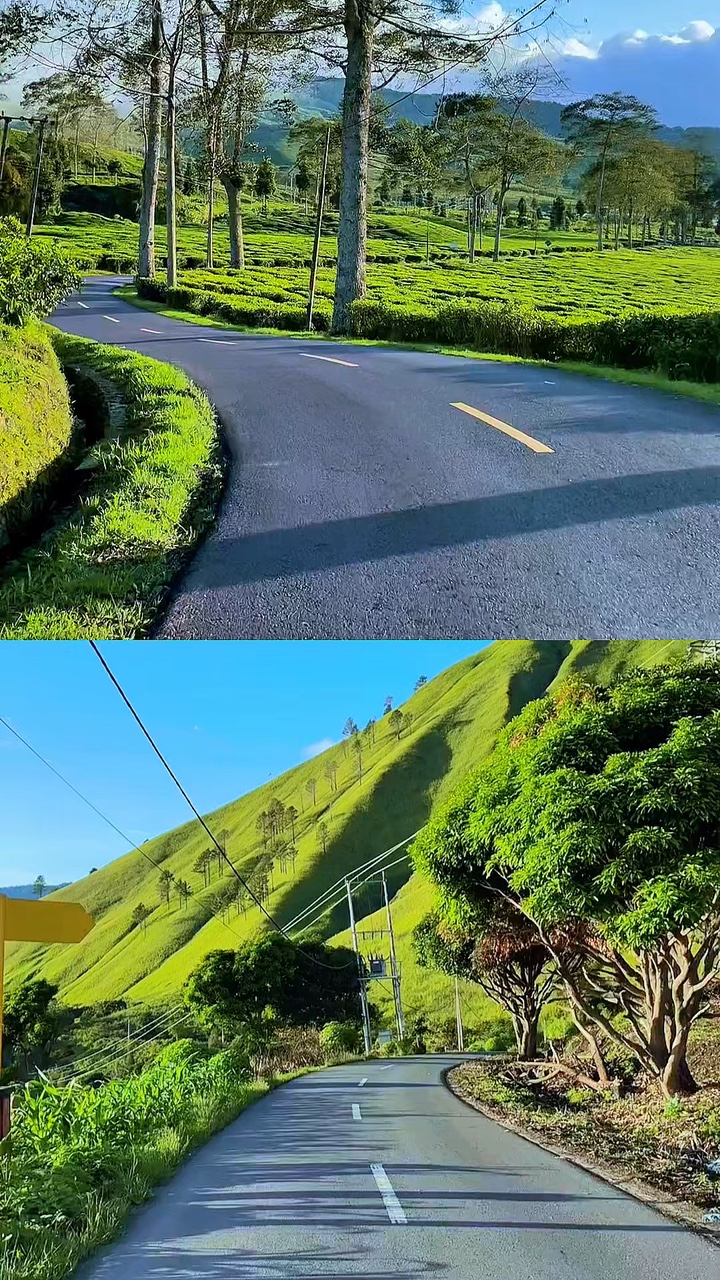 2 vídeos kolase