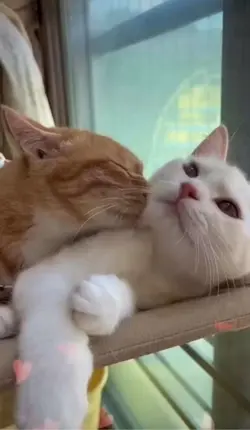 💘💘