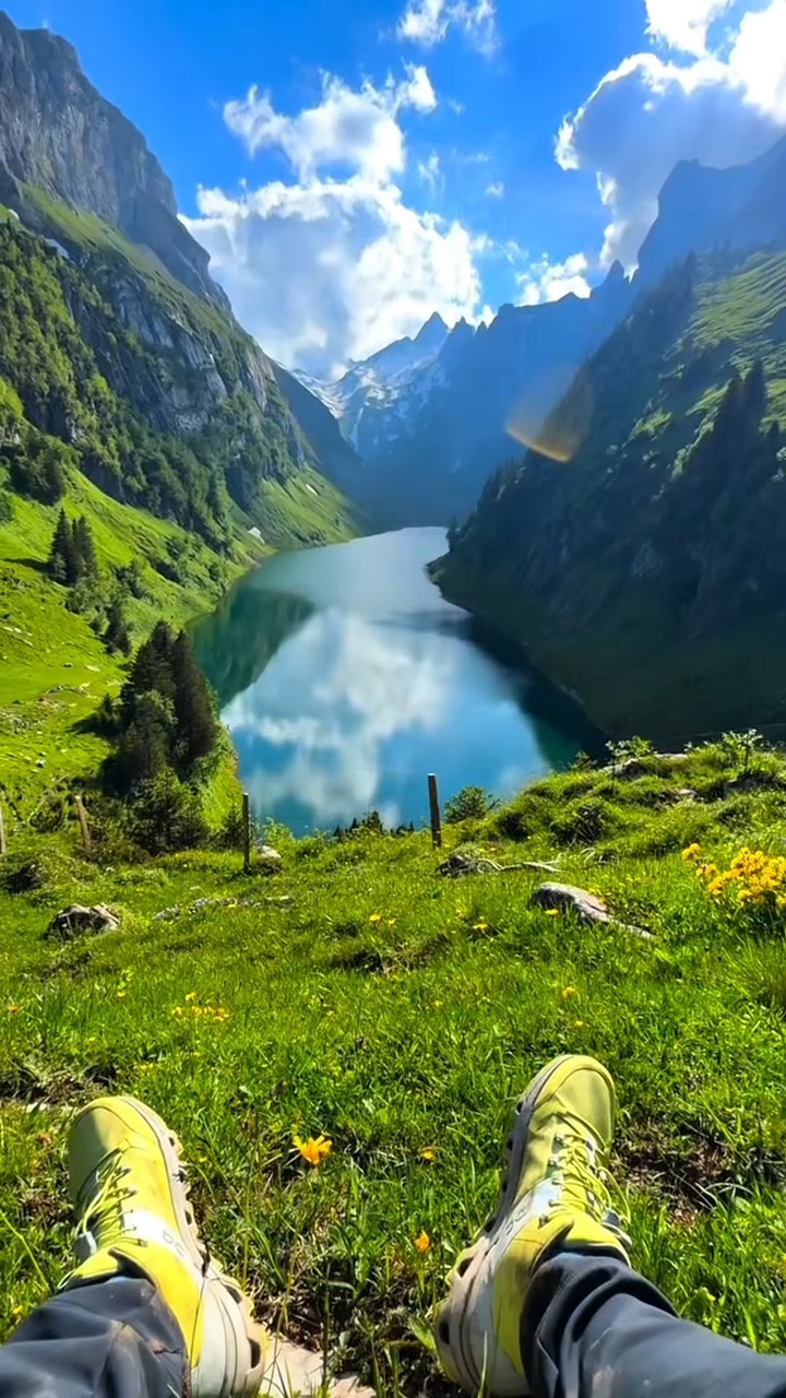 6 video wild nature