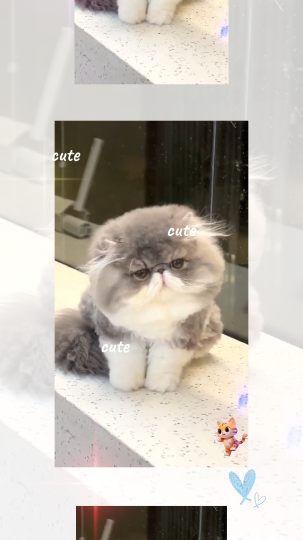 CUTE