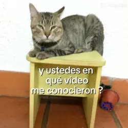 Les tengo una pregun