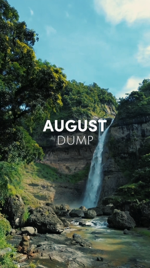 Despejo de agosto
