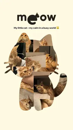My meow 🐱