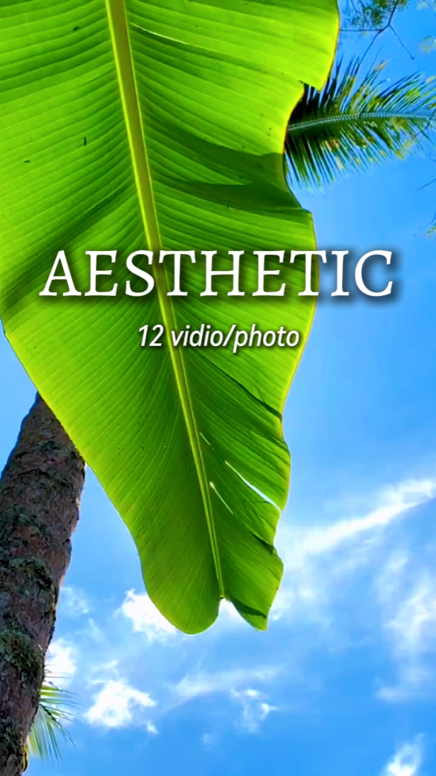 12 vidio aesthetic