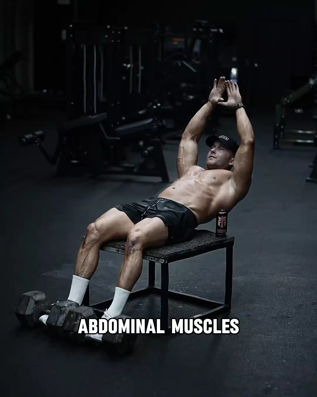 Músculos abdominales 
