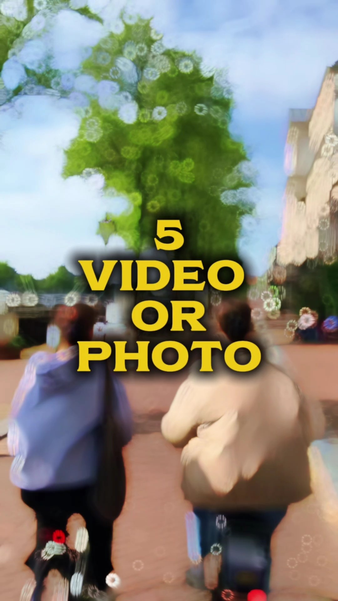 video templates