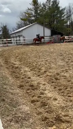 his transitions 😻