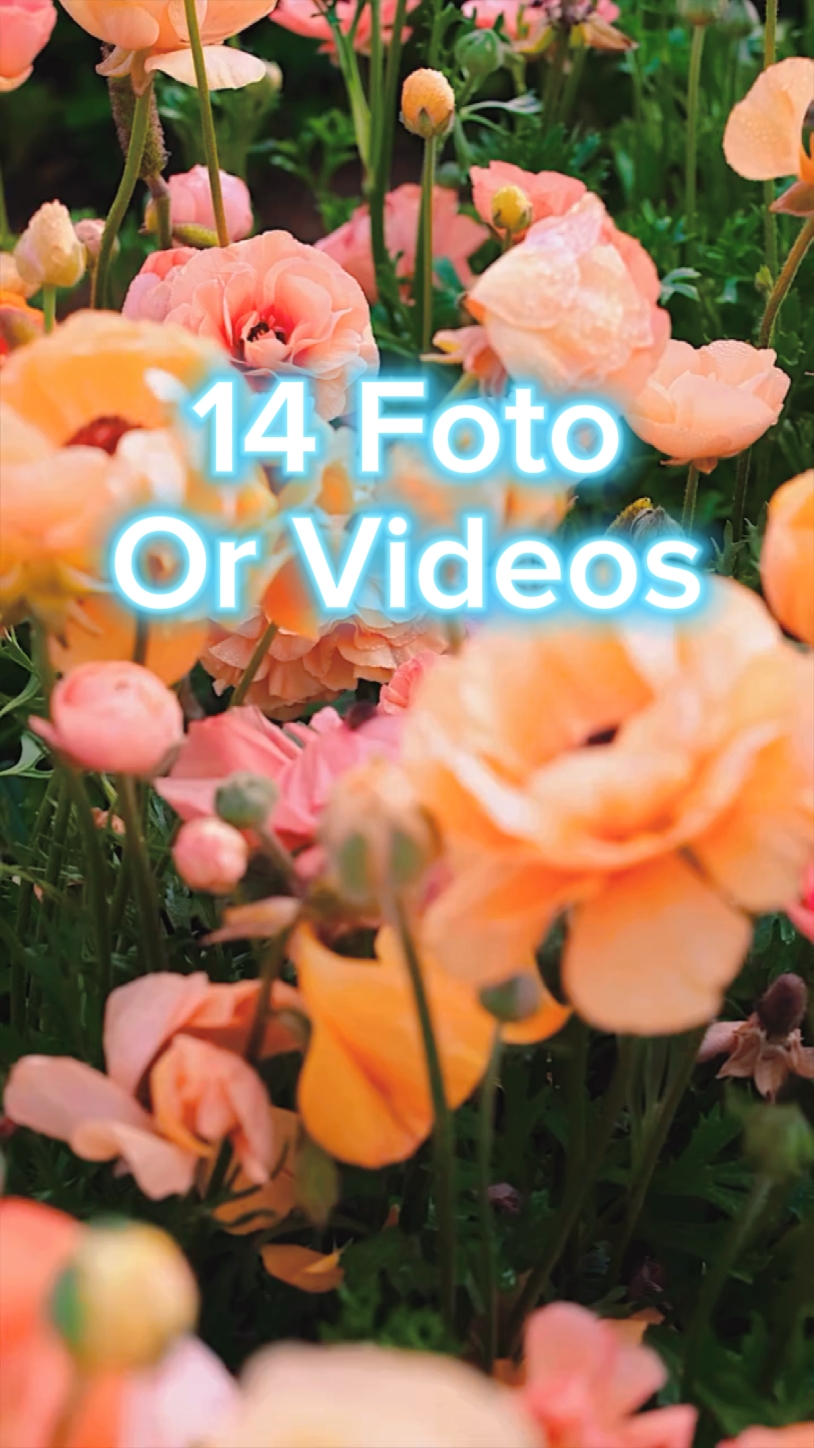 14 Foto Slide