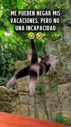 No me niegues