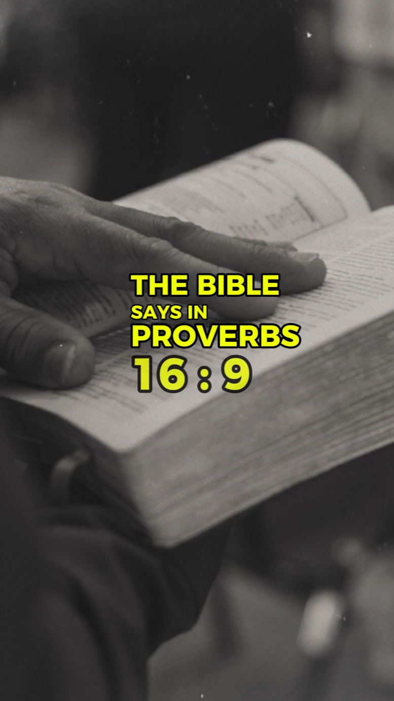 Provérbios 16: 9