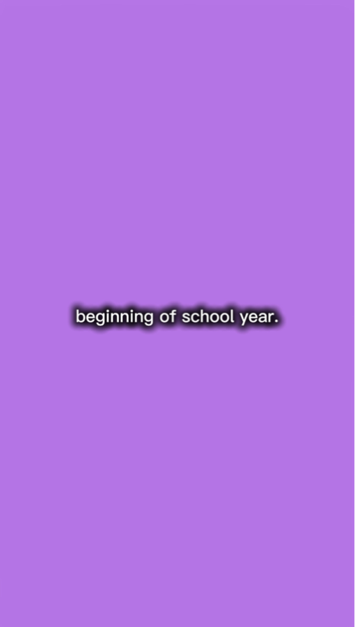 school year